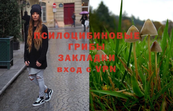спиды Зеленодольск