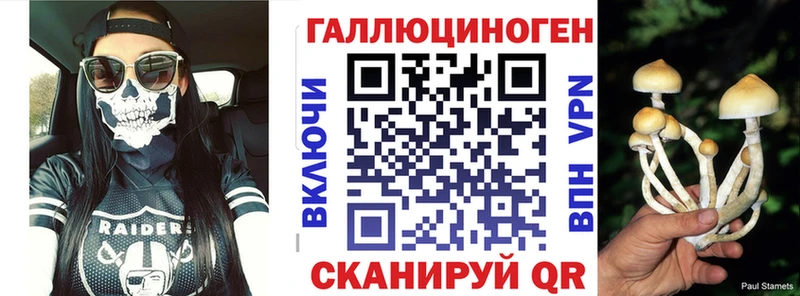 Купить где  Задонск  Галлюциногенные грибы Cubensis 